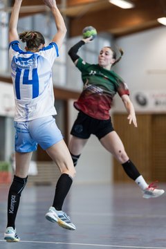 Bild 184 - F HSG Kremperheide/Muensterdorf - ATSV Stockelsdorf 2 : Ergebnis: 47:32
